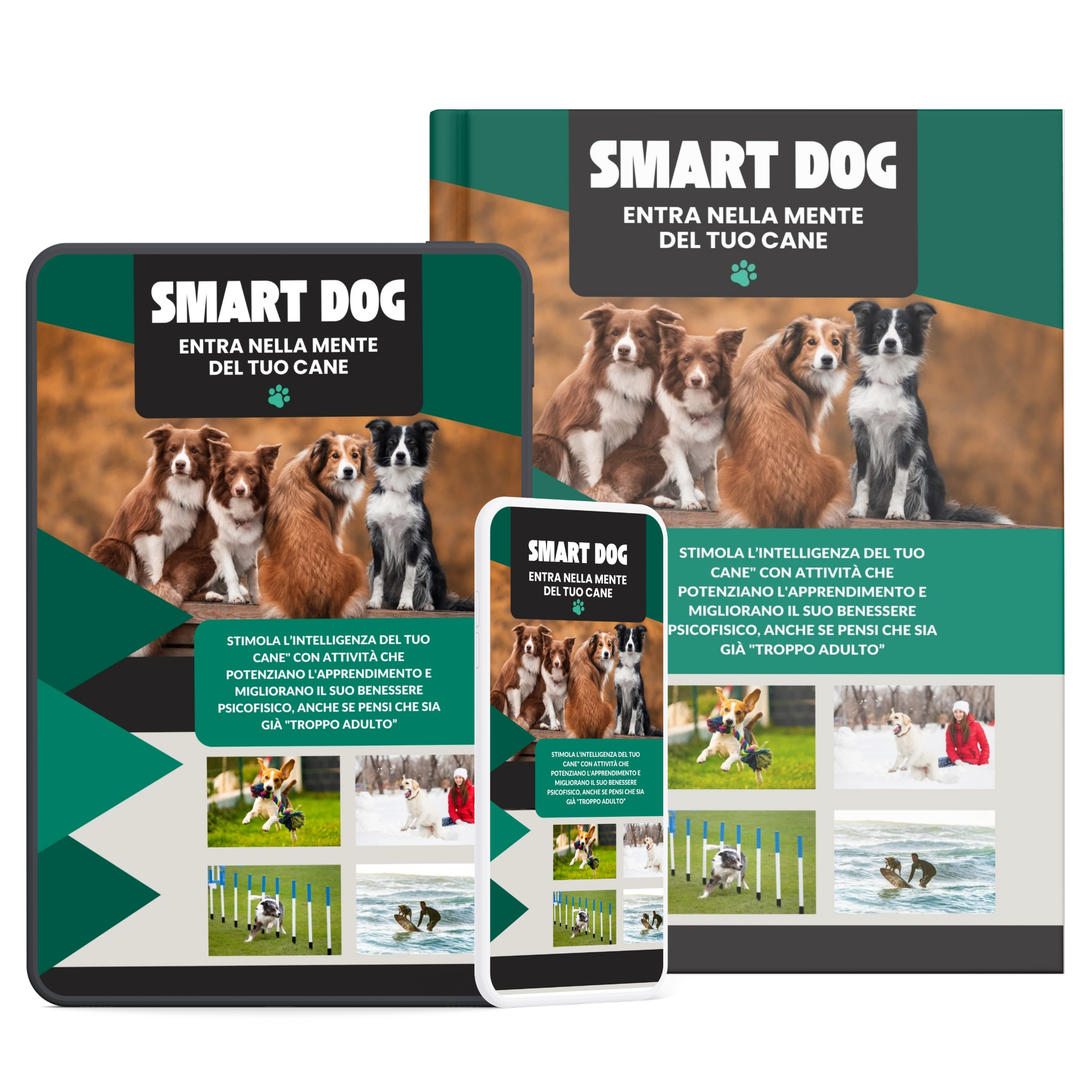 Smart Dog: entra nella mente del tuo cane